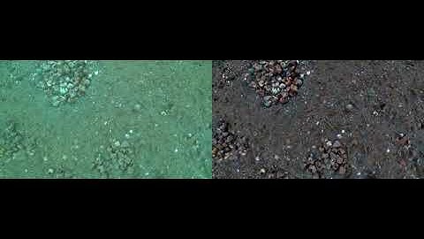 Sea-thru on video: Lake Tanganyika 2