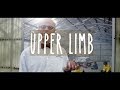 THE UPPER LIMB: Neuroanatomy Season 3, Episode 2