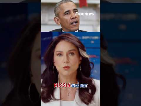 Gabbard Sets The Record Straight On Russia S Alleged Election Interference Shorts Foxnews News