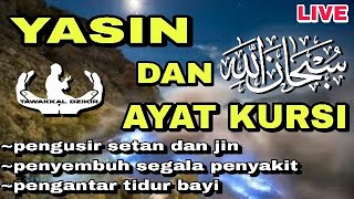 yasin dan ayat kursi pengusir jin dan penyembuh segala macam penyakit medis maupun non medis