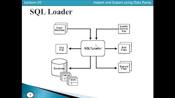 SQL Loader 01