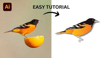 Adobe Illustrator Tutorial - How to Create a Bird Vector  in adobe illustrator