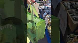 Feira de Antiguidades e tmbm novidades em Fafe. 