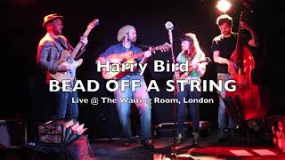 Harry Bird - BEAD OFF A STRING - at the Waiting Room (short)