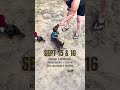 The Wiener Dog Races are BACK at Assiniboia Downs!
