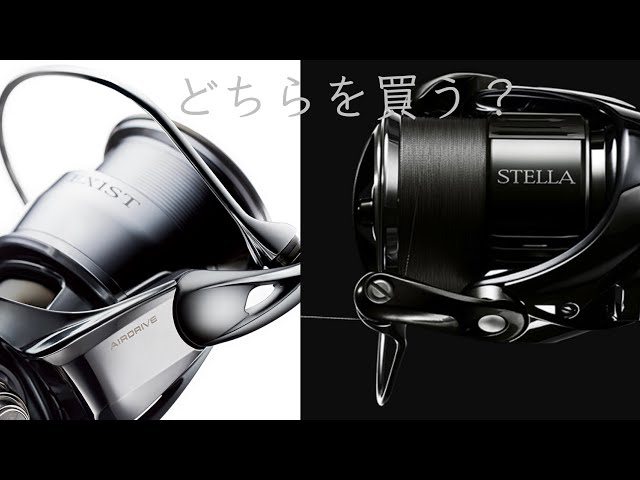 Finally 22 Stella is here!! - YouTube