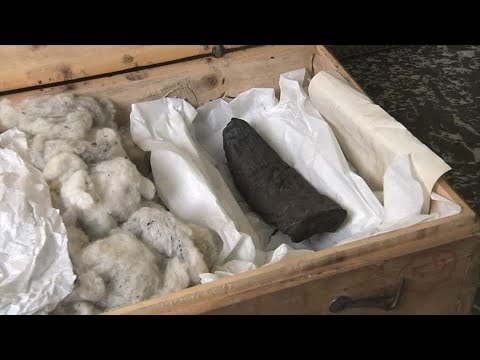 How AI is helping decipher ancient scrolls | REUTERS - YouTube