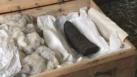 How AI is helping decipher ancient scrolls | REUTERS