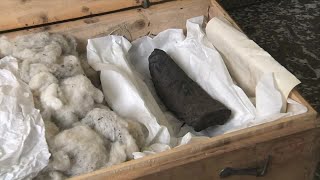 How AI is helping decipher ancient scrolls | REUTERS