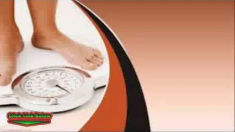 Best Protein Bars for Weight Loss