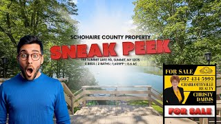 Sneak Peek 193 Summit Lake Rd, Summit, Ny 12175