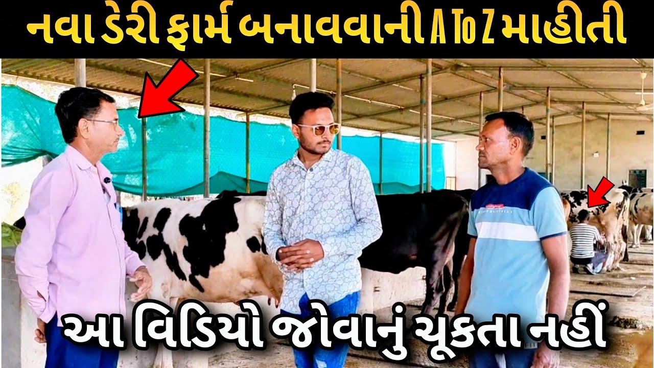 નવા ડેરી ફાર્મ બનાવવાની A To Z માહીતી ગુજરાતીમાં 2025નો વિડિઓ ખાસ જોજો 🤯 #પશુપાલન #dairyfarm #cow