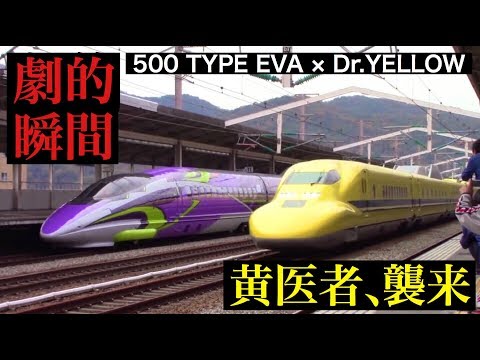 奇跡】ドクターイエロー＆エヴァ新幹線 500系 / Dr.YELLOW & 500