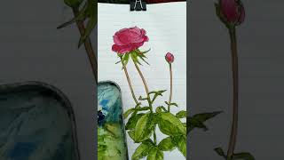 sketchbook : Nature Journaling Week 2021