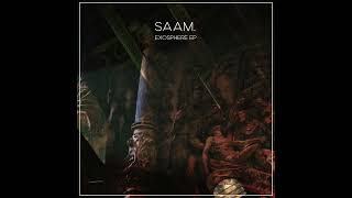 SAAM. - Artefact