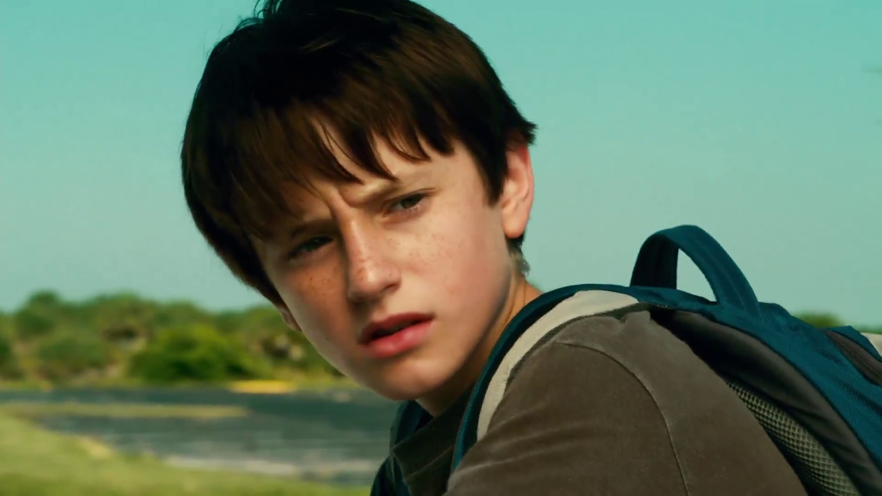 The old man  met the stranded dolphin in the beach and shouted for help to the boy