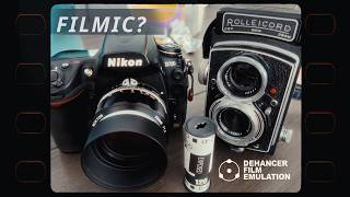 D700 x Nikon D700 x Dehancer - Film Look or Film Fake?