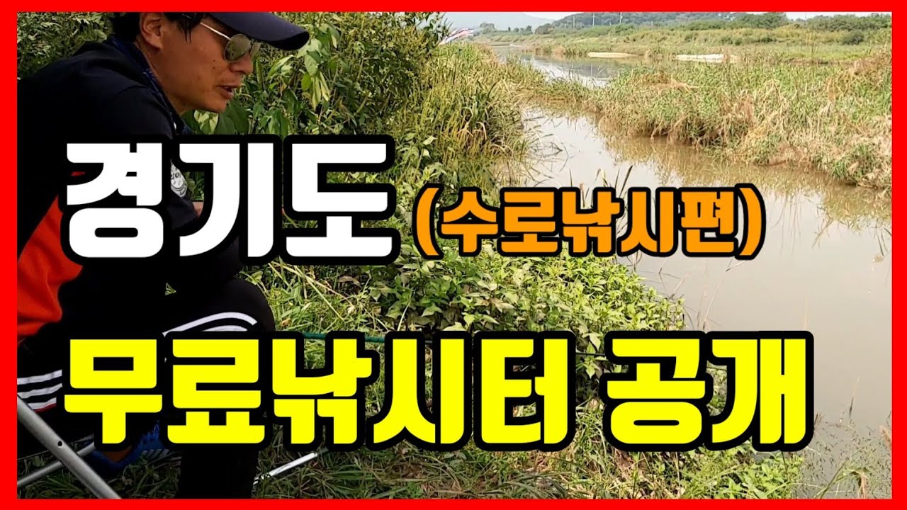 경기도 무료낚시터 공개 (수로낚시편) free fishing YouTube