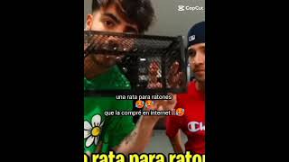 Fede una rata para ratones😱