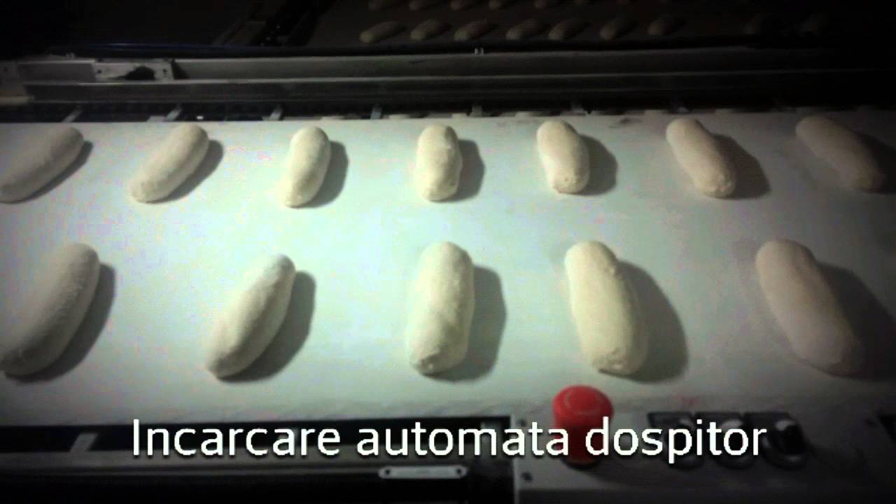 Linie automată pâine 2600buc/h