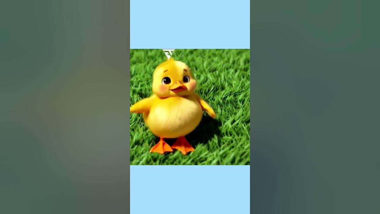 nature duck smiling very nice #elpatitojuan #trending #shorts #cartoon #funny #cute #duck