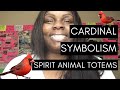 Cardinal Symbolism:: Spirit Animal Totems