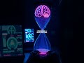 Gaming Addiction vs. Drug Addiction: How Unpredictable Rewards Damage Your Brain