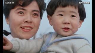 「日本の母子衛生」（英語版）