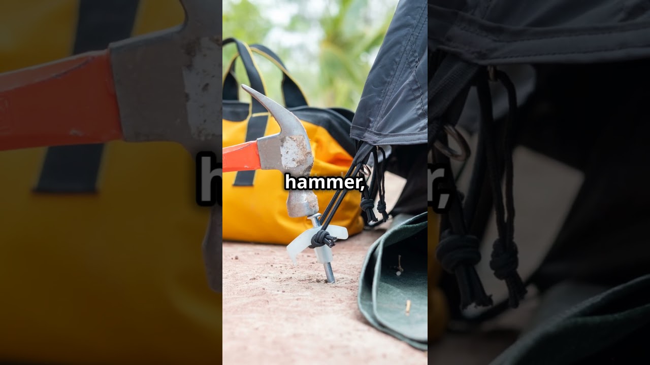 The Untold Story of Jael: The Heroine of Judges | 