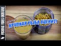 ДЛЯ КАРПА ЭТО "ПУШКА" - СЛАДКИЙ КУКУРУЗНЫЙ ЛИКВИД ДЛЯ КРУПНОЙ РЫБЫ | FishingVideoUkraine