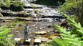 ONE DAY ROAD TRIP in AUSTRALIA