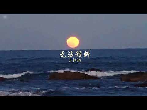 [ENGSUB/PINYIN] 无法预料 (Wu Fa Yu Liao - Unpredictable) - 王梓棋