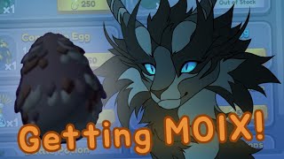 getting moixaura in dragon adventures!