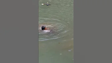 حادث غرق تم عثوره تحت الماء 