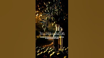 الله نور السموات والارض 🪐🤎 #سورة_النور #ياسر_الدوسري