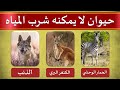 15 لغز متوسطه | إذا تجاوزتها فأنت من الأذكياء جدا !!