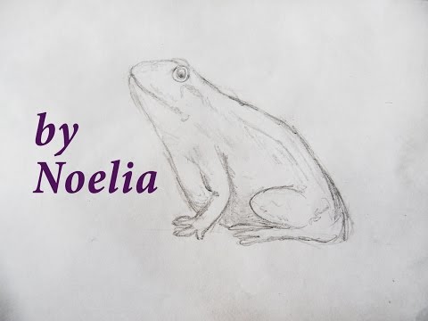 How to draw a frog/ как нарисовать лягушку