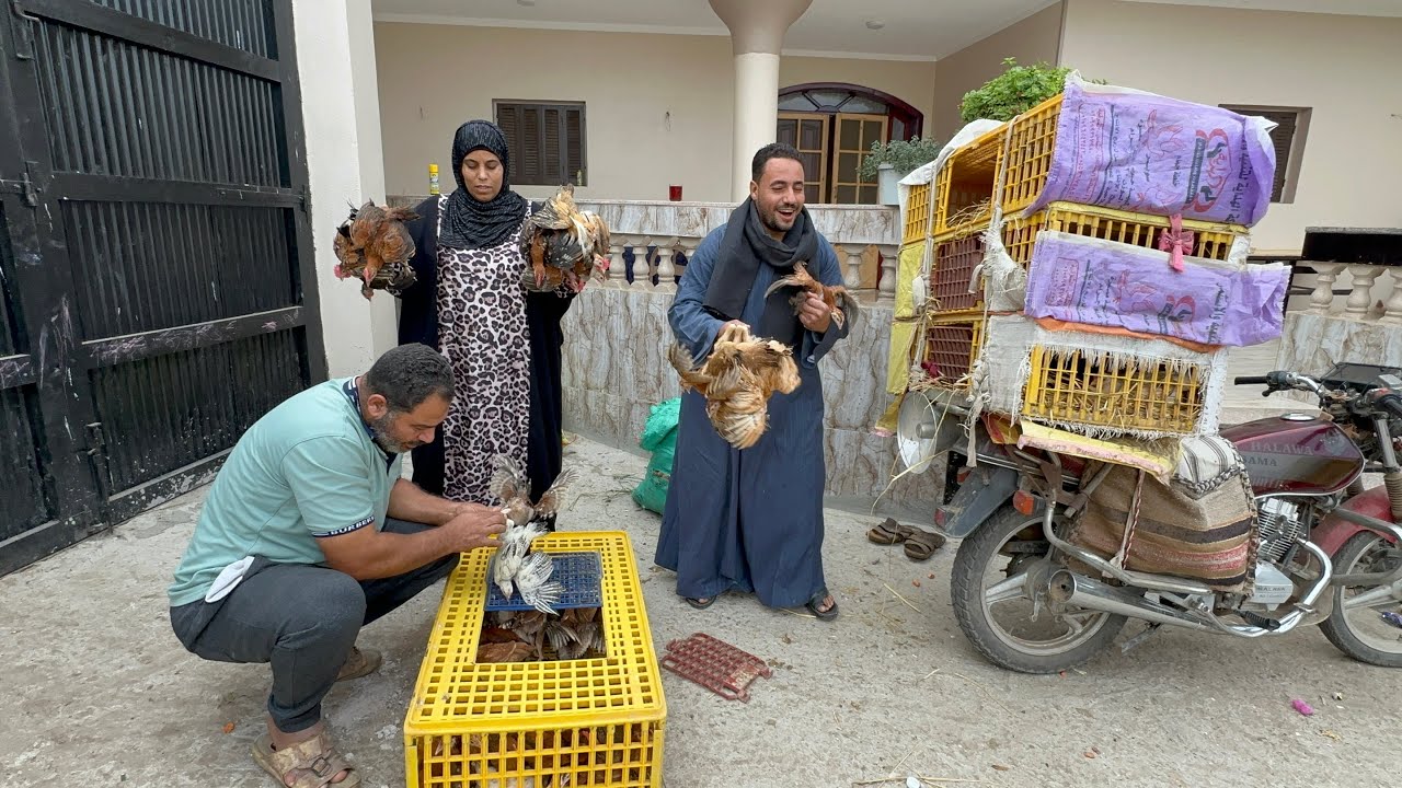 قلتلكم بيتى الجديد ده وش السعد عليا  🏠شغلتنا وأساسنا وعارفين رجليها من راسها عشت وشفت مزرعتي بتكبر