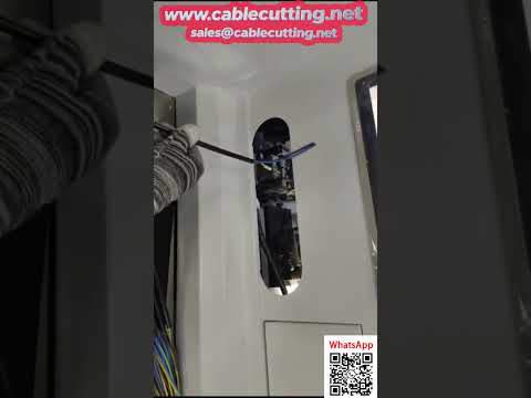 Automatic Numbered Tube Insertion and Crimping Machine