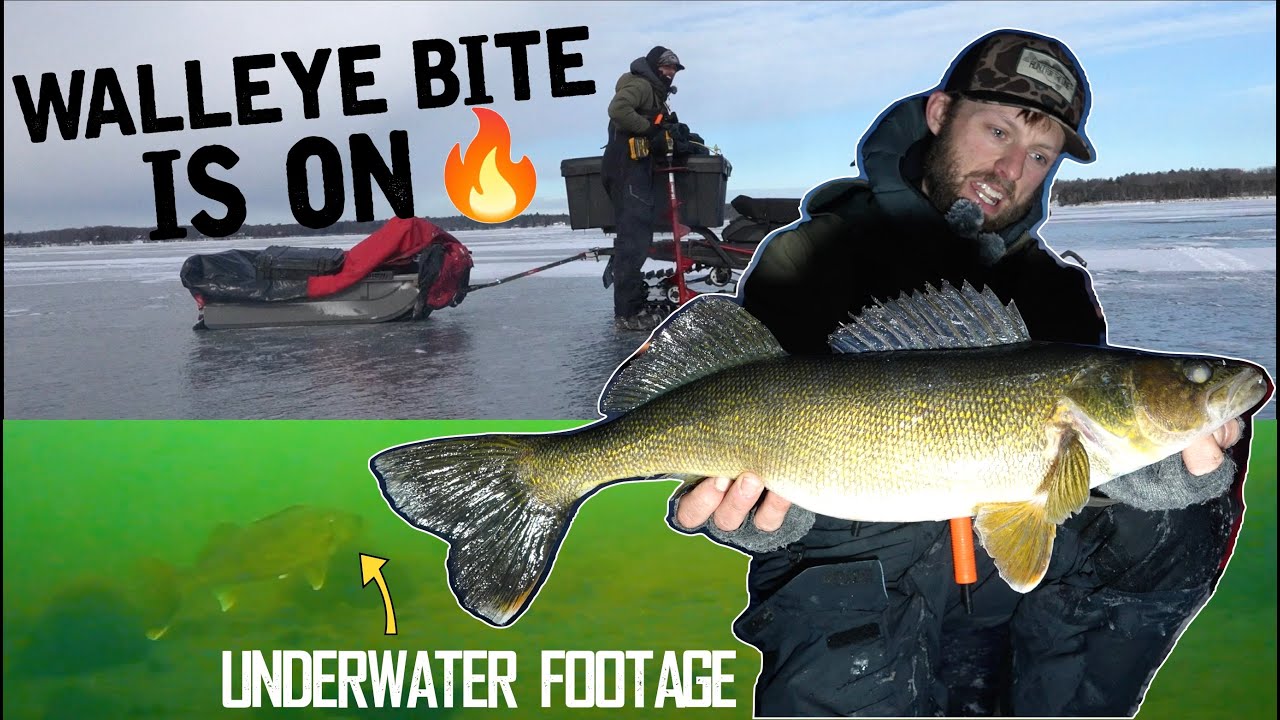 CRAZY Ice Fishing Walleye Bite is on FIRE + UNDERWATER FOOTAGE!