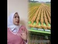 Pantun berkedok #drama #guru #sekolah #seru #gurumuda #jokes #related #gurubk #relateable