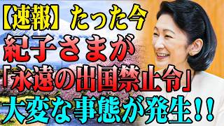 สติปัญญา40.4の配信のサムネイル画像