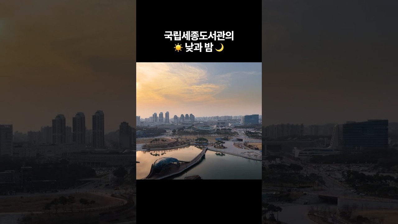 (반전 매력) 국립세종도서관의 낮과 밤
