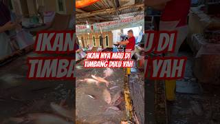 Timbang Ikan #shortvideo #shorts #short #trending #trendingshorts #fyp #viral #viralvideo #virals