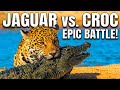 : 🐆 JAGUAR vs. CROCODILE: The Ultimate River Predator Showdown! 🐊 (EPIC BATTLE!)