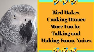 Bird Entertains While Owner Cooks #birds #pets #animals #funny #parrot #youtube #fyp #fun #birdtalk