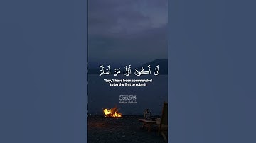 تلاوة تريح القلب القارئ#هيثم_الدخين  #حالات_واتساب_دينية#راحة_نفسية #قران_كريم 🍃