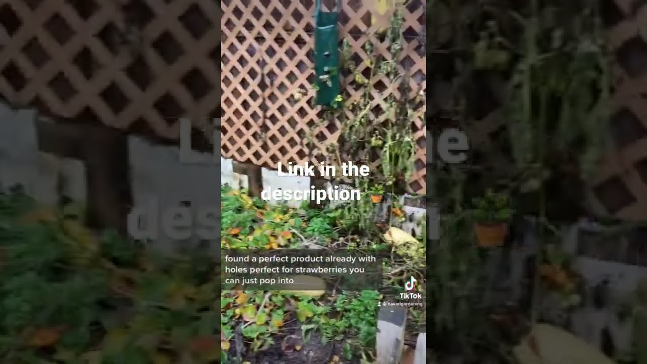 Best hanging grow bags 