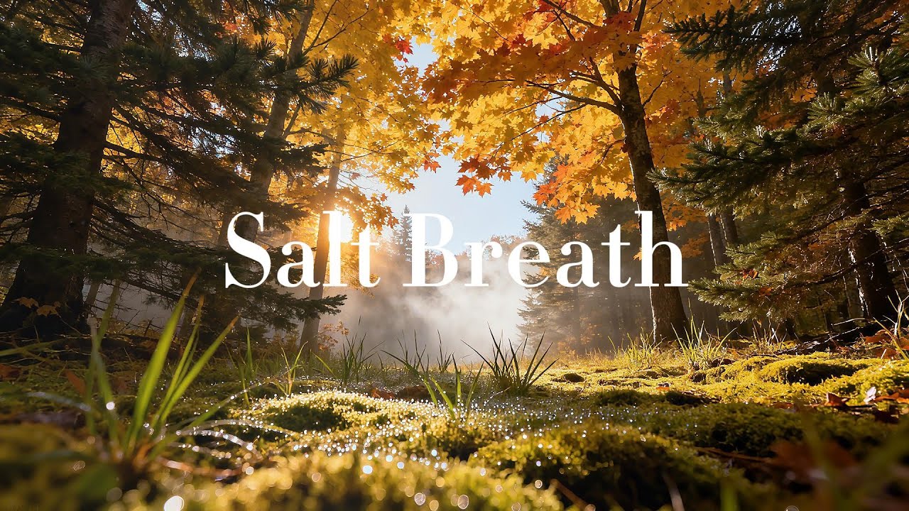 🌊 SaltBreath — Gentle Ocean Breeze & Coastal Serenity 🌅 | Soulful Ambient Piano & Healing Strings 💙