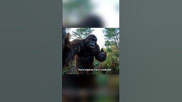 Bigfoot really messed up!! #shorts #short #ai #bigfoot #scary #cryptids